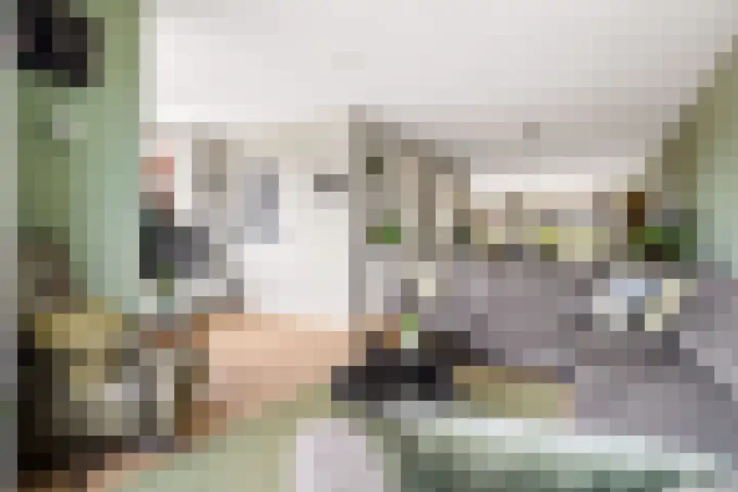 Stalreep 102 Uden thumbnail 7