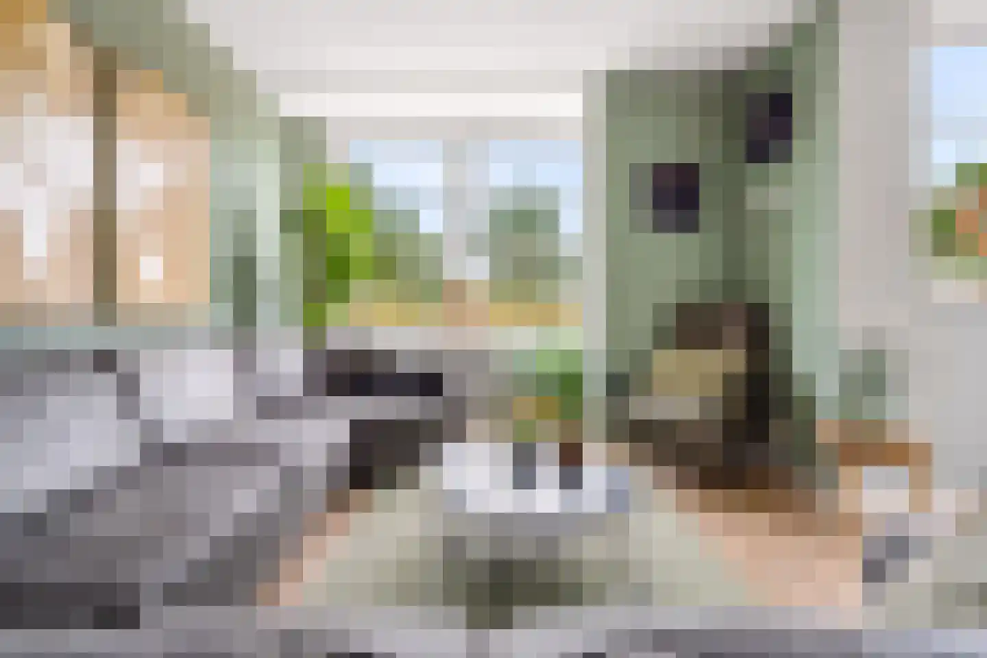 Stalreep 102 Uden thumbnail 8