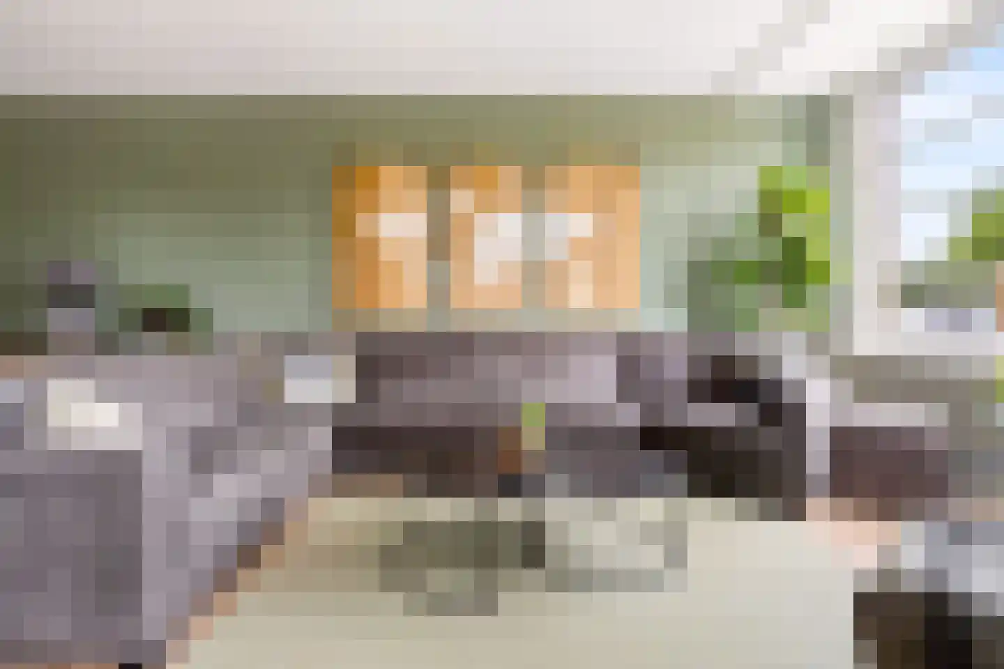 Stalreep 102 Uden thumbnail 9