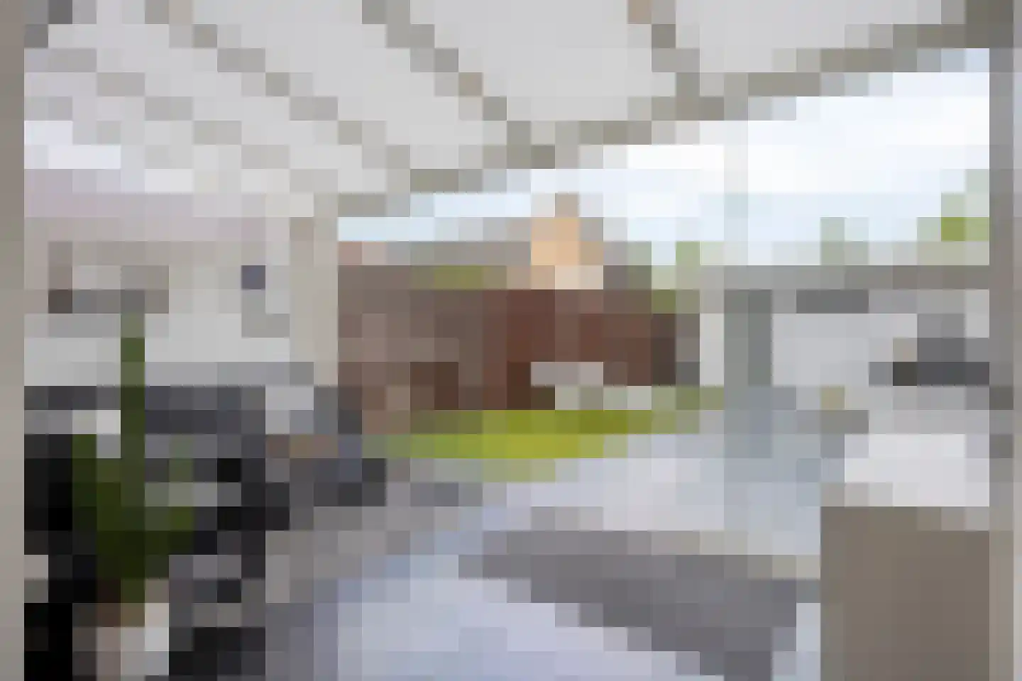 Stalreep 74 Uden thumbnail 32