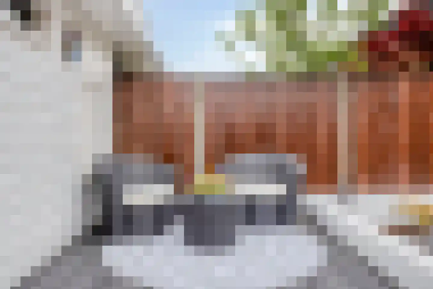 Stalreep 74 Uden thumbnail 42