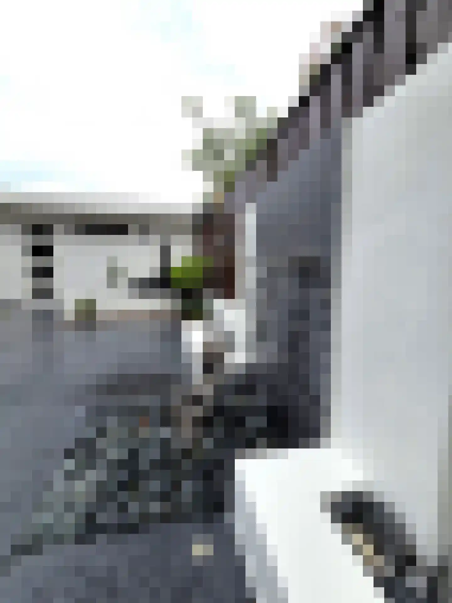 Stalreep 74 Uden thumbnail 43