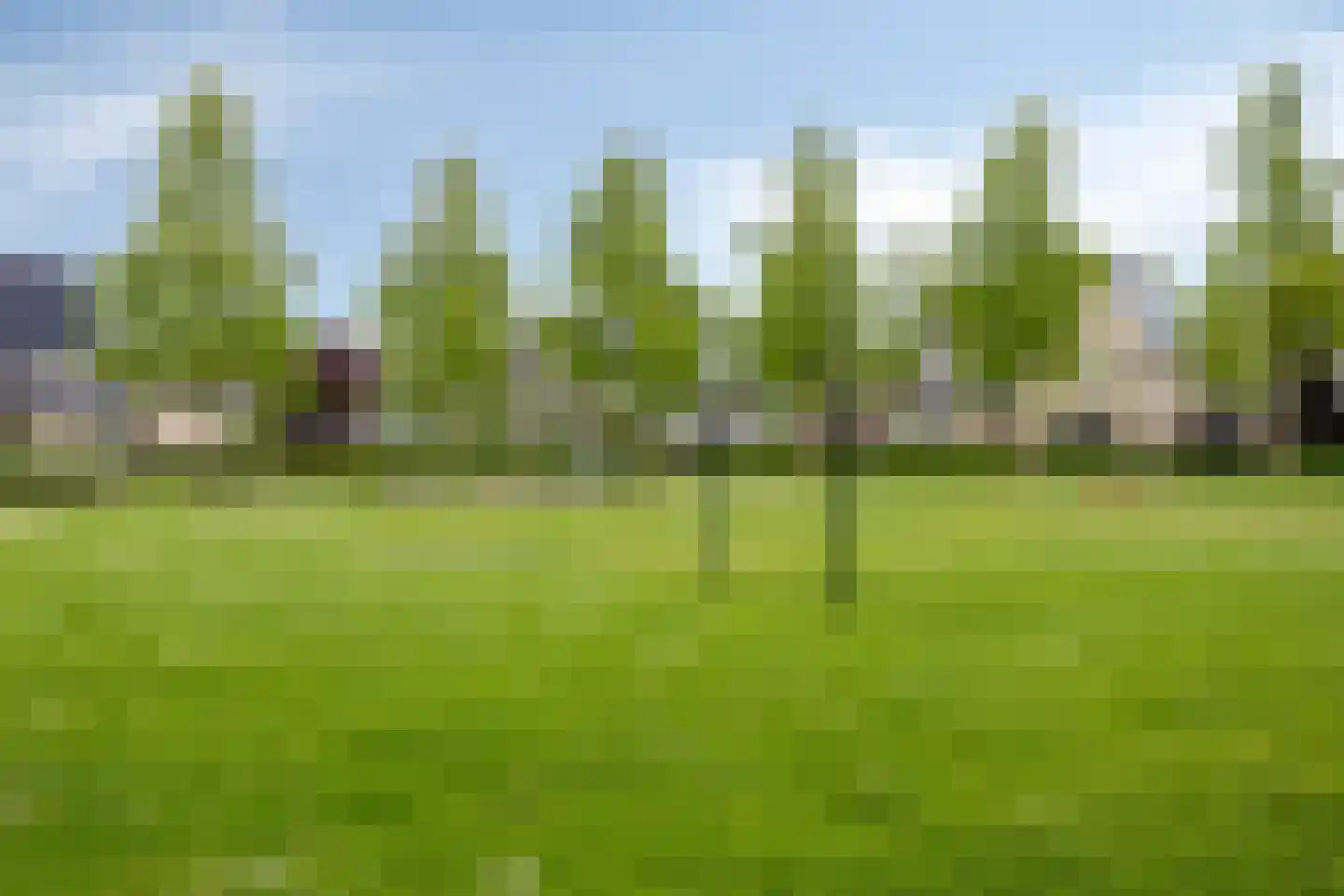 Stalreep 74 Uden thumbnail 44