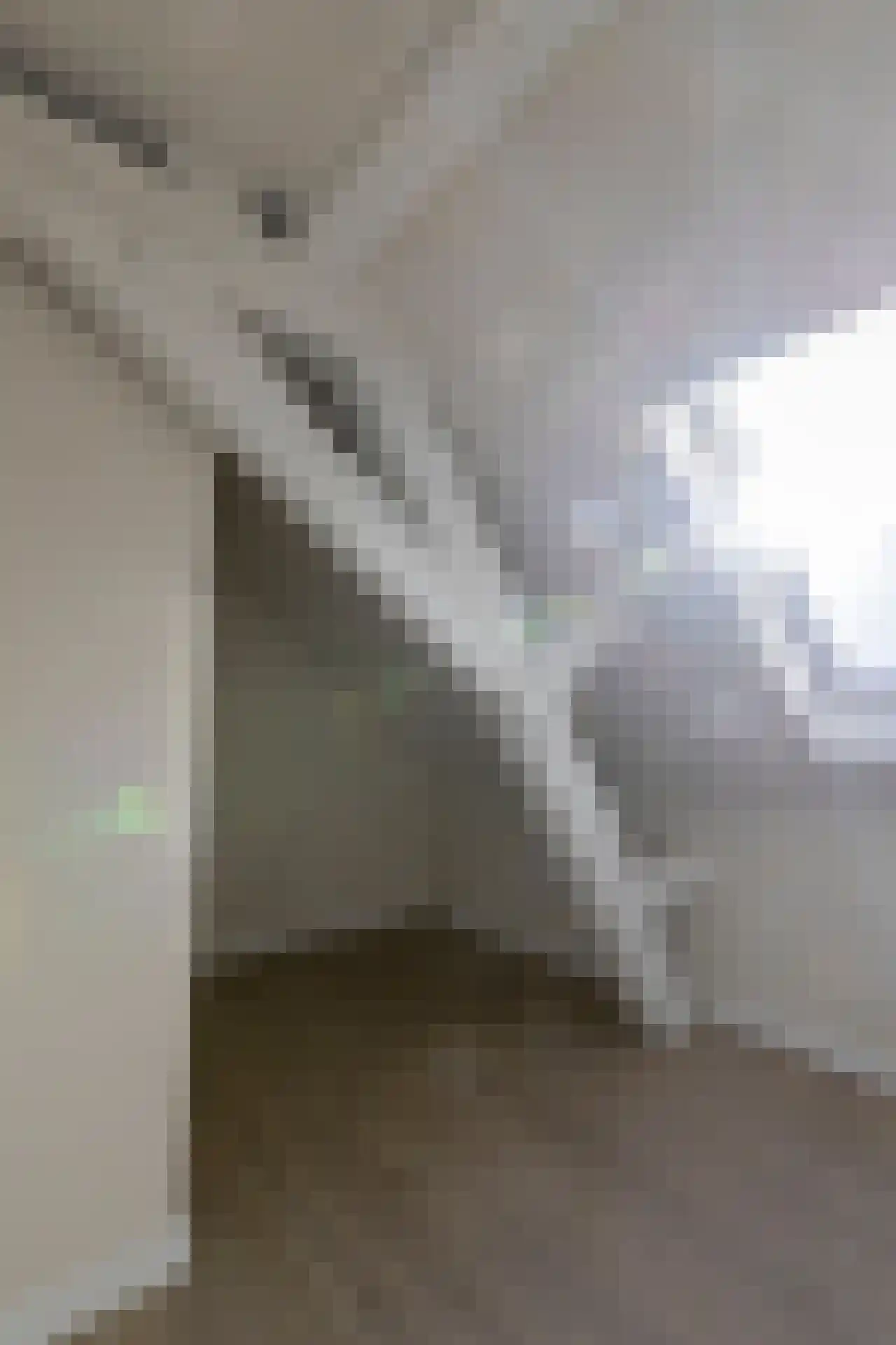 Stalstraat 17 Goes thumbnail 15