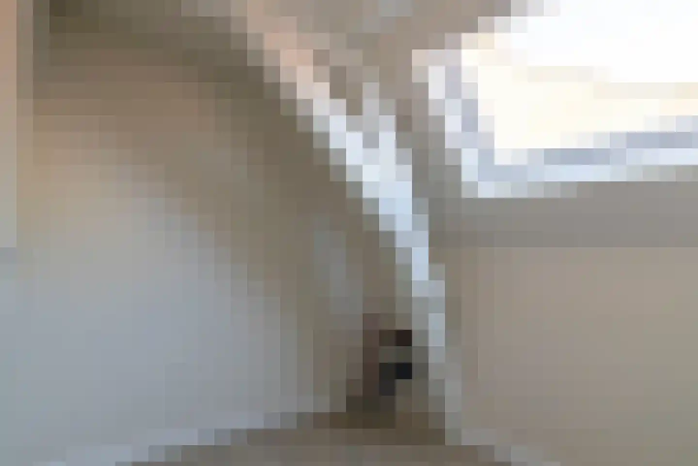 Stalstraat 17 Goes thumbnail 18