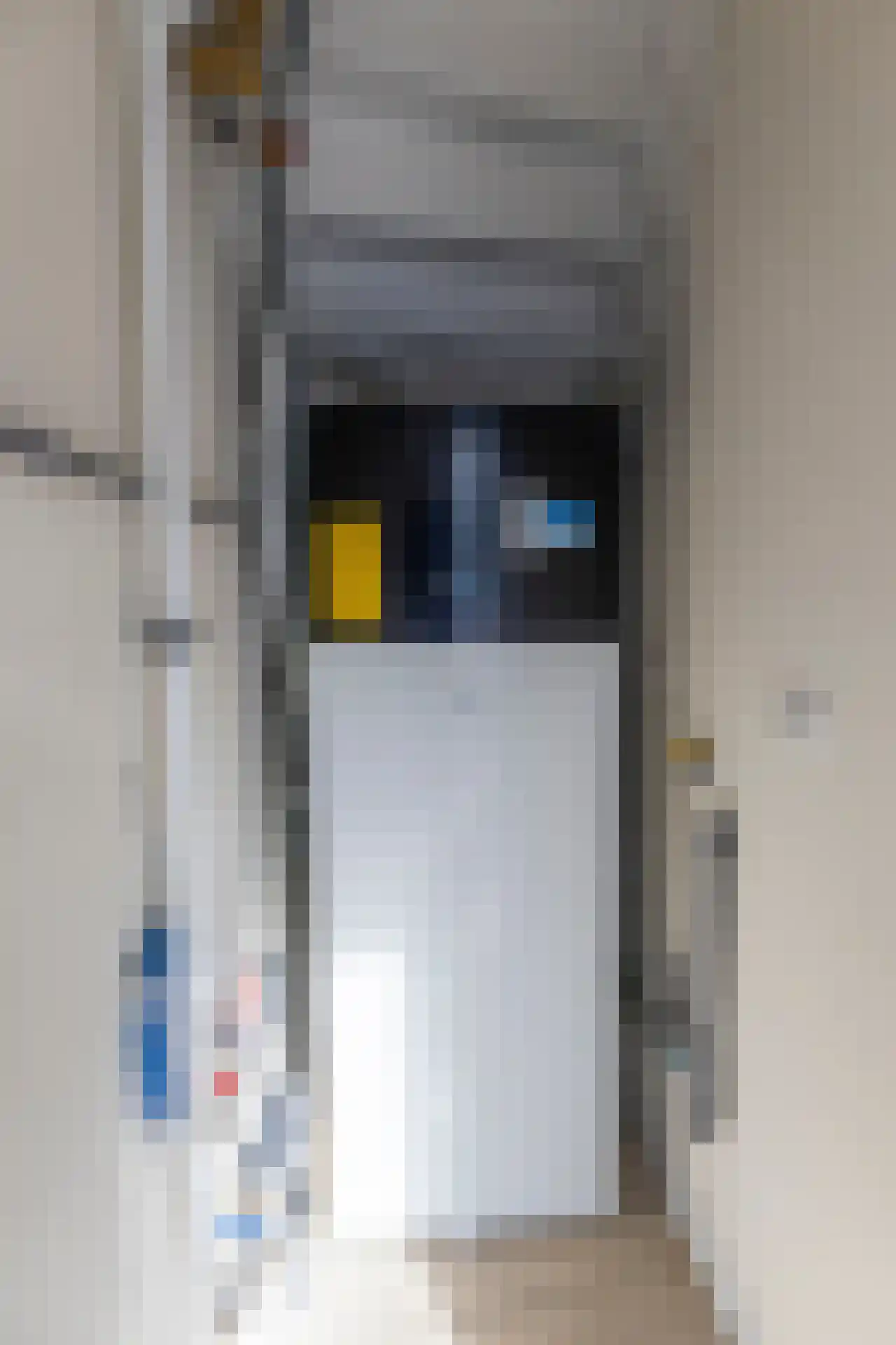 Stalstraat 17 Goes thumbnail 29
