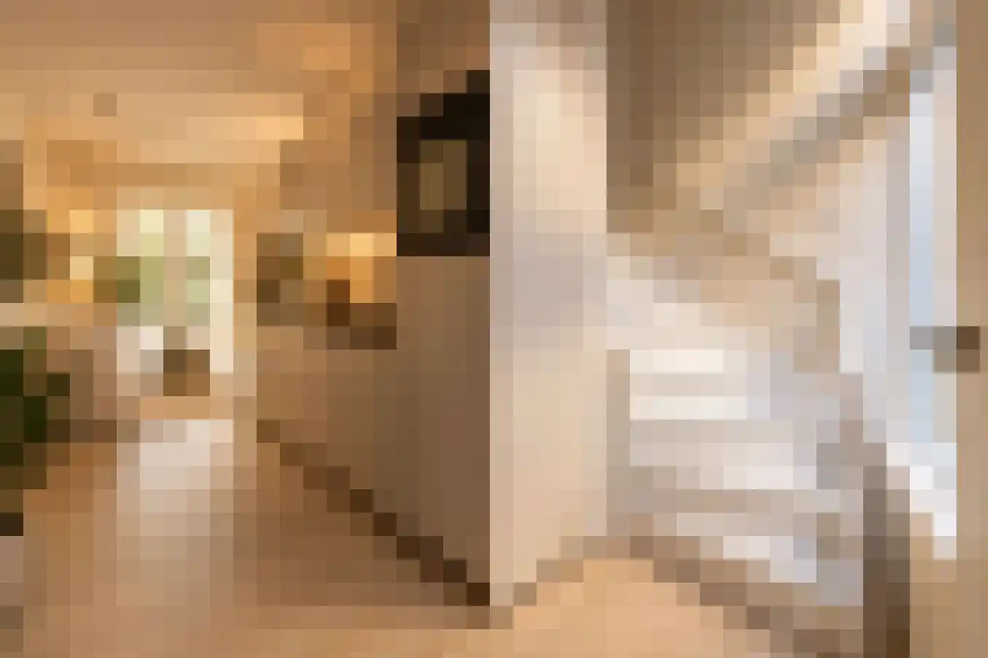 Stalstraat 17 Goes thumbnail 6