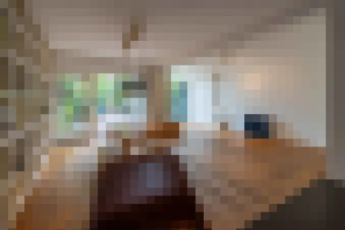 Stam 103 Huizen thumbnail 18