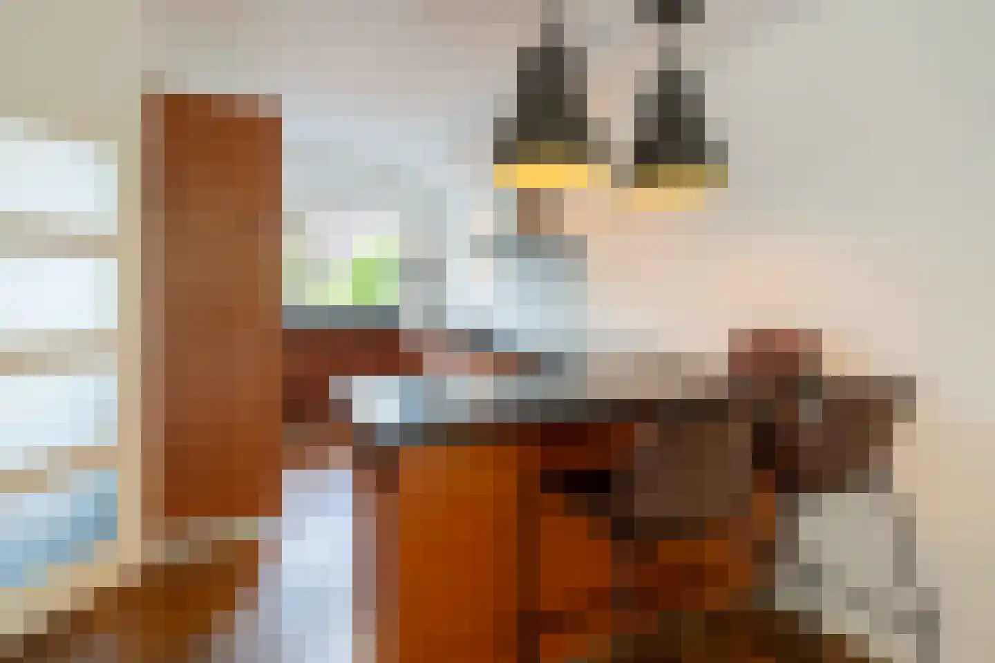 Stam 103 Huizen thumbnail 19