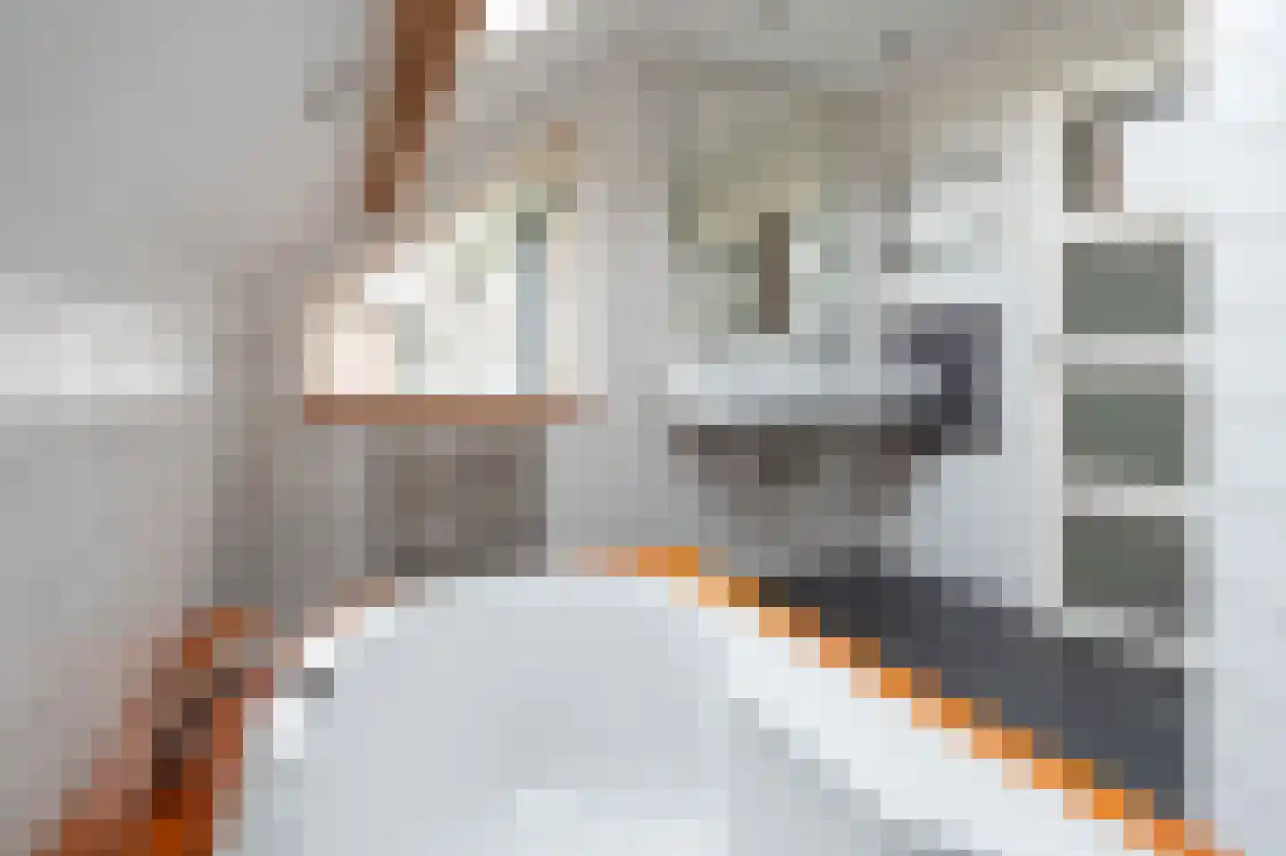 Stam 103 Huizen thumbnail 36