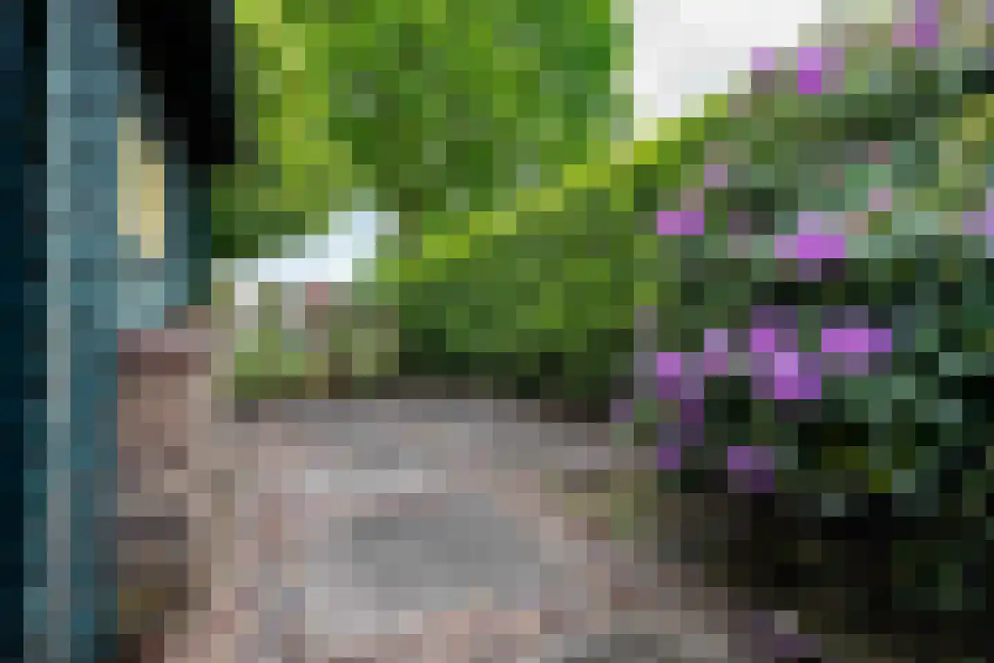 Stam 103 Huizen thumbnail 45
