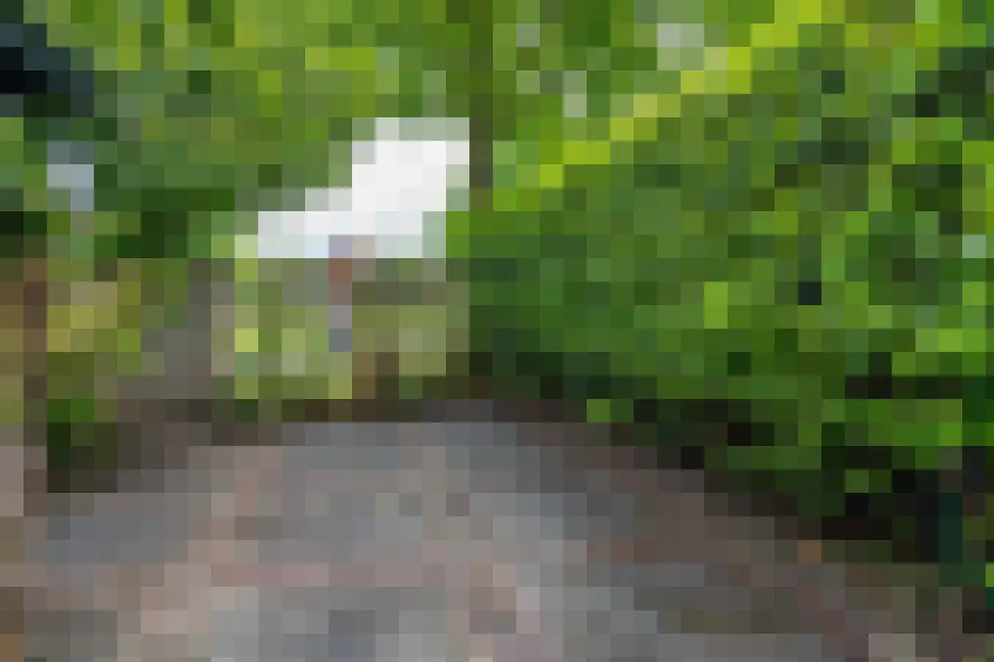 Stam 103 Huizen thumbnail 46