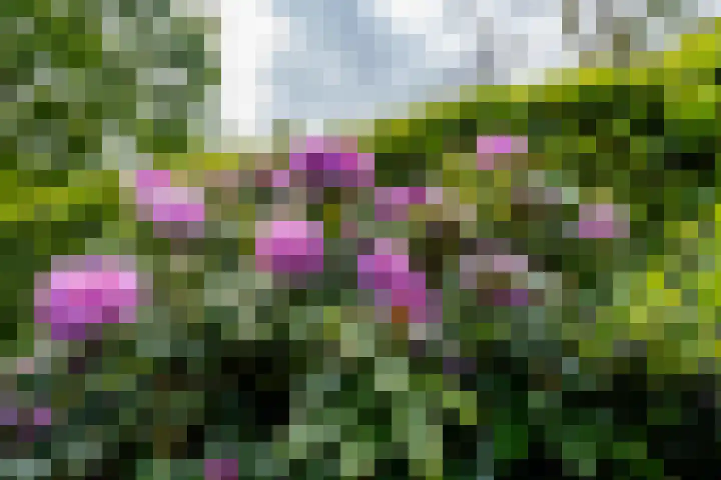 Stam 103 Huizen thumbnail 49