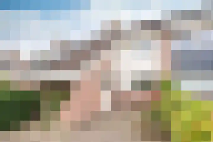 Stam 23 Huizen thumbnail 5