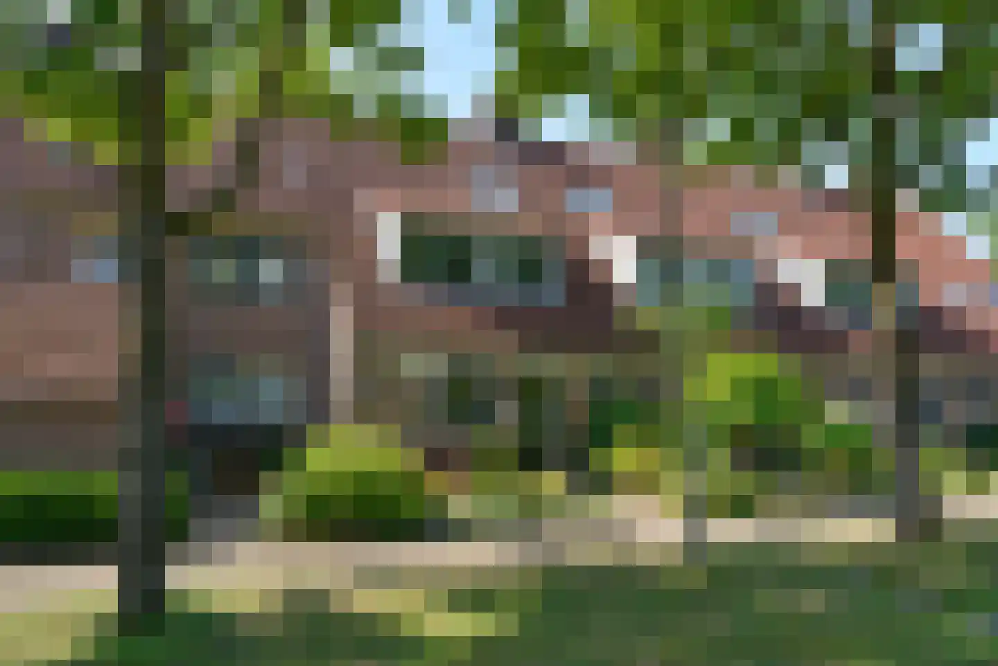 Stam 38 in Huizen