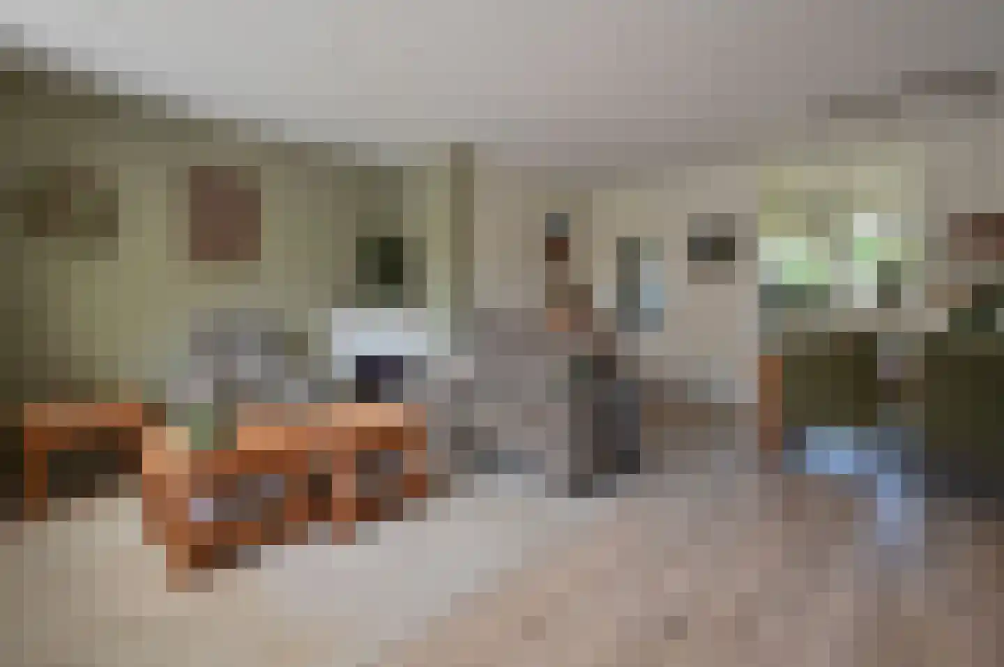 Stam 38 Huizen thumbnail 4