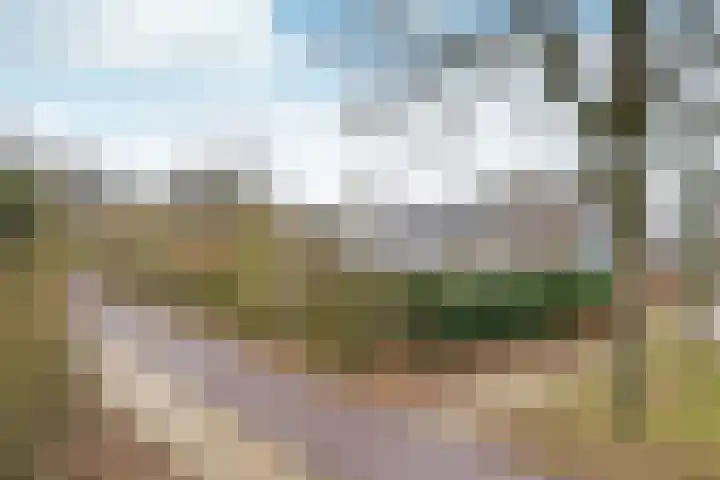 Stam 39 Huizen thumbnail 16