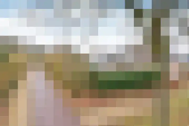 Stam 39 Huizen thumbnail 17