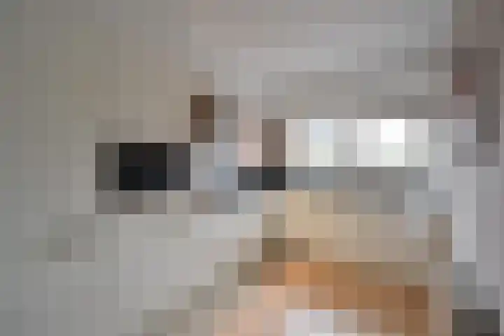 Stam 39 Huizen thumbnail 6