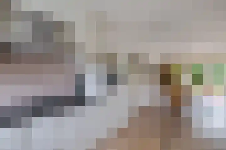 Stam 81 Huizen thumbnail 11