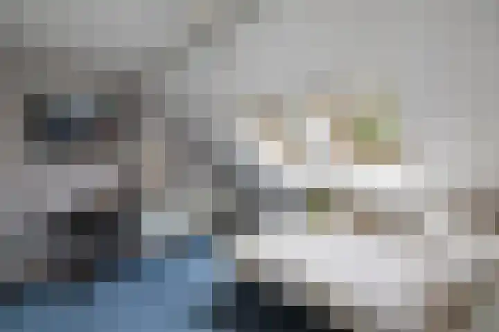 Stam 81 Huizen thumbnail 15