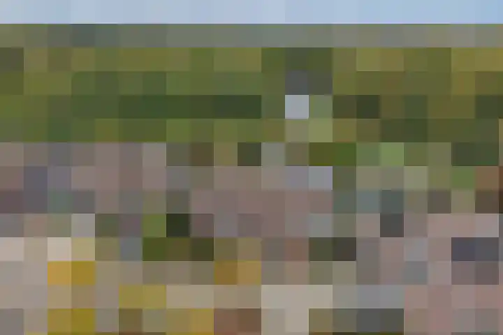 Stam 81 Huizen thumbnail 26