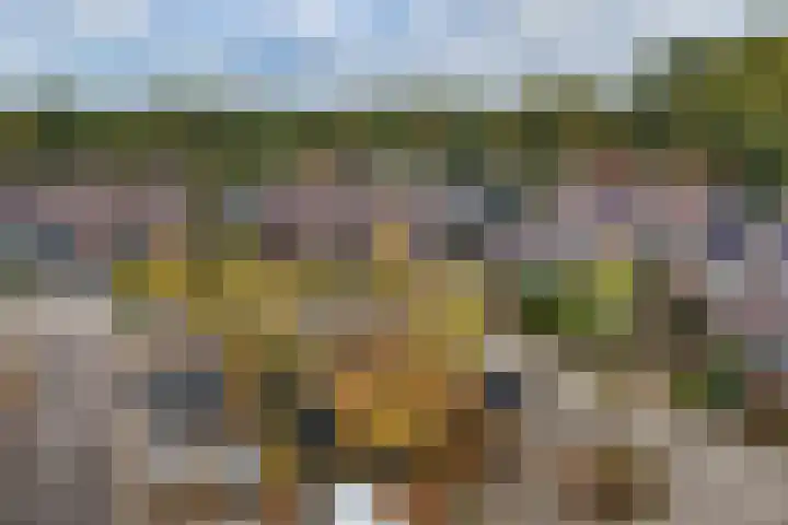 Stam 81 Huizen thumbnail 27