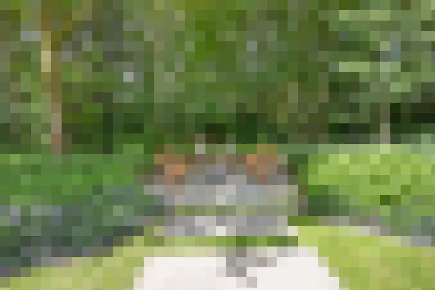 Stamerbos 14 Almere thumbnail 56