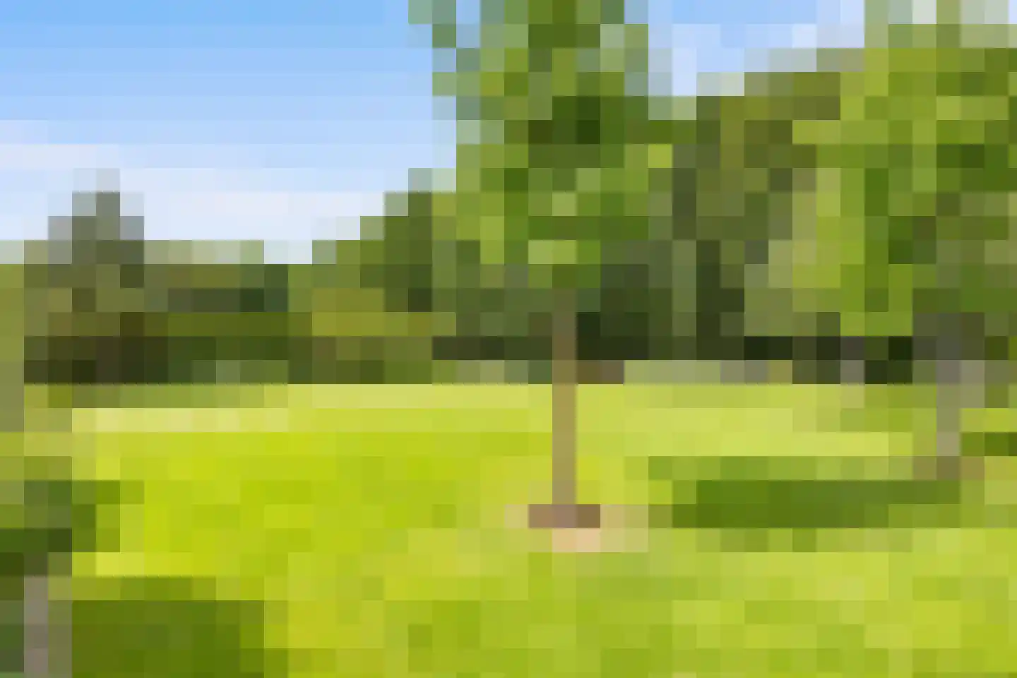 Stamerbos 14 Almere thumbnail 57