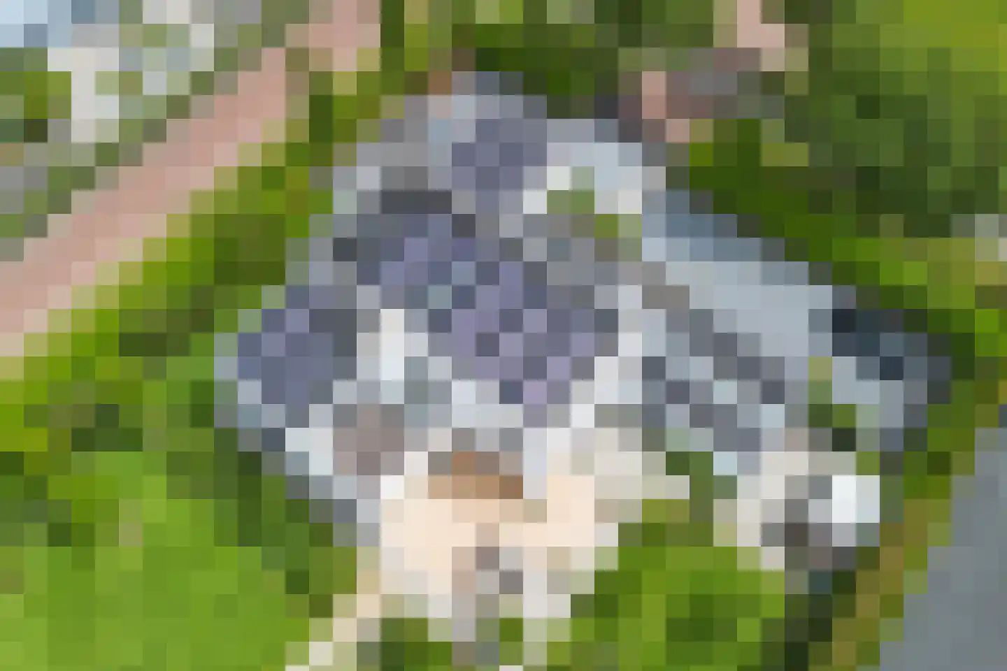 Stamerbos 14 Almere thumbnail 63