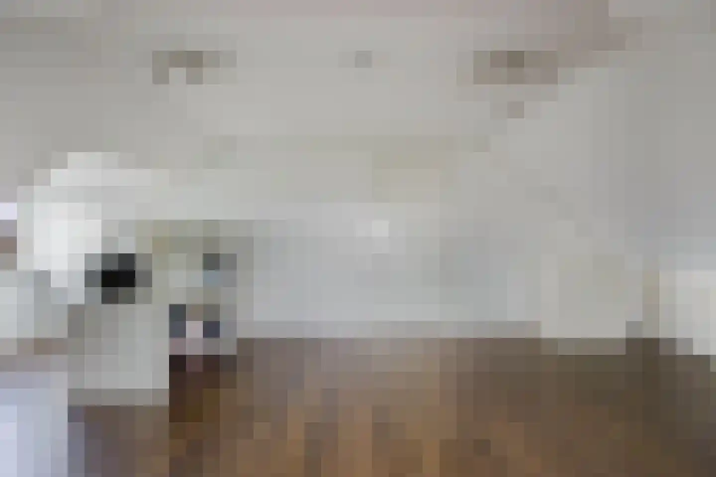 Stamerbos 16 Almere thumbnail 69