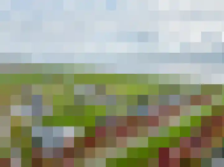 Stamerbos 45 Almere thumbnail 5