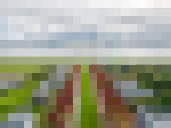 Stamerbos 45 Almere thumbnail 6