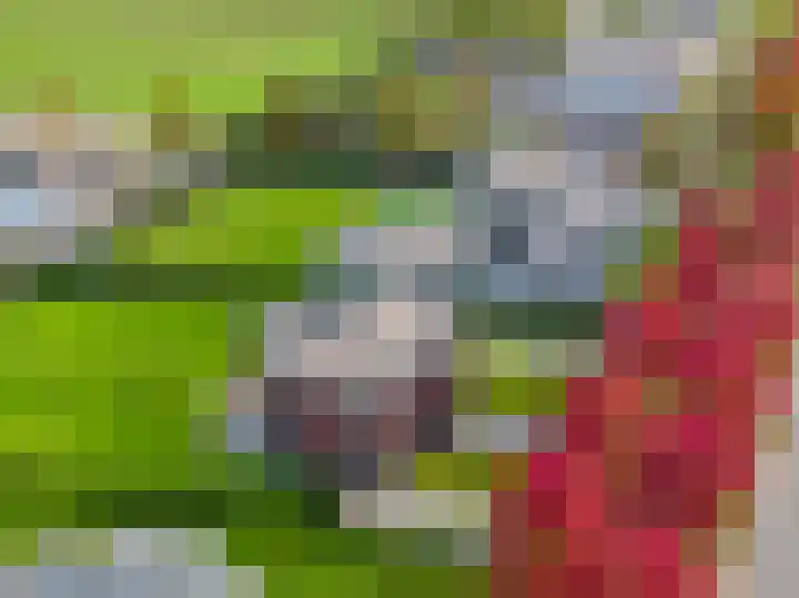 Stamerbos 45 Almere thumbnail 7