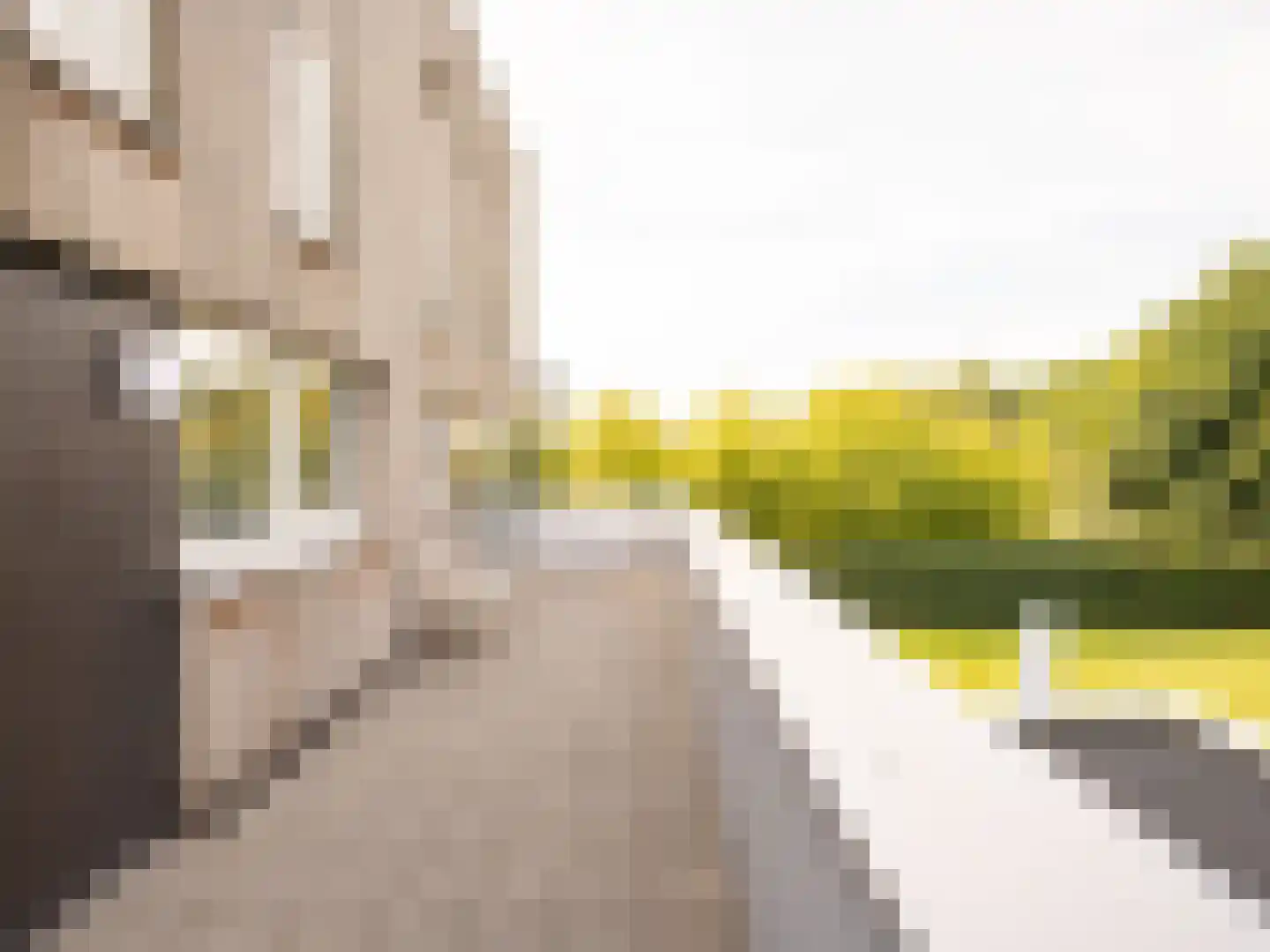 Stamerbos 46 Almere thumbnail 50