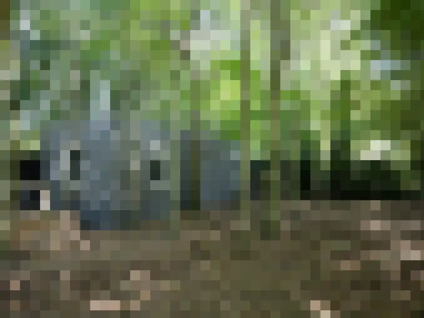Stamerbos 46 Almere thumbnail 71