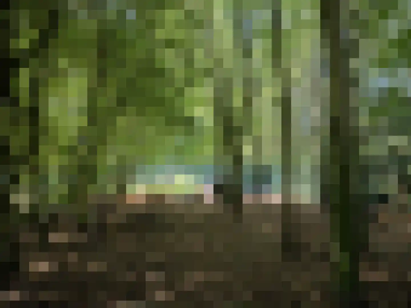 Stamerbos 46 Almere thumbnail 74