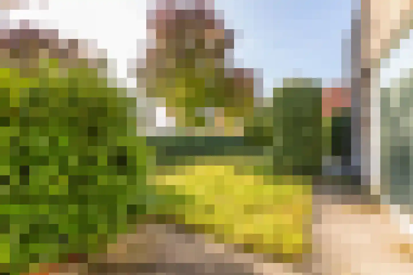 Stamerbos 48 Almere thumbnail 28