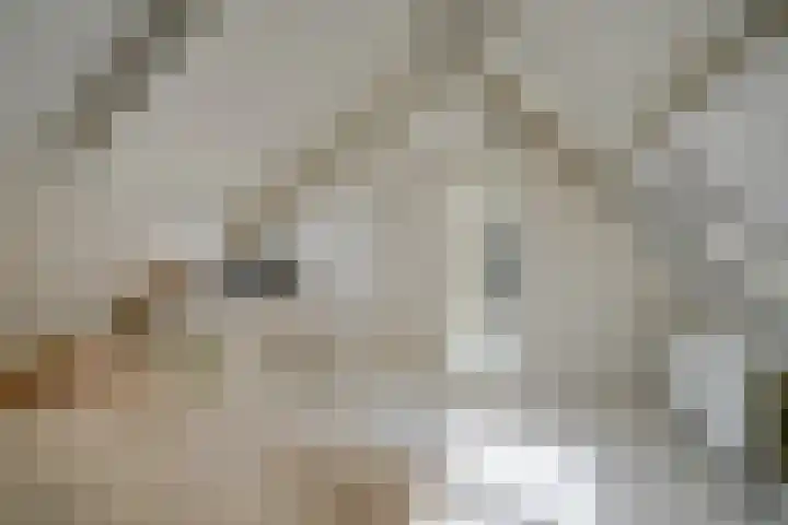 Stameren 16 Maarn thumbnail 17