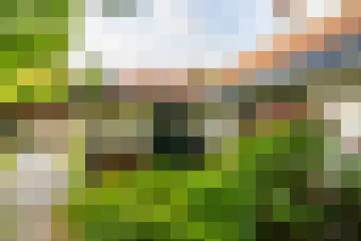 Stameren 16 Maarn thumbnail 19