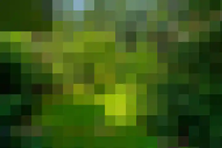 Stameren 16 Maarn thumbnail 20