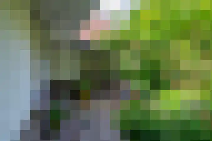 Stameren 16 Maarn thumbnail 21