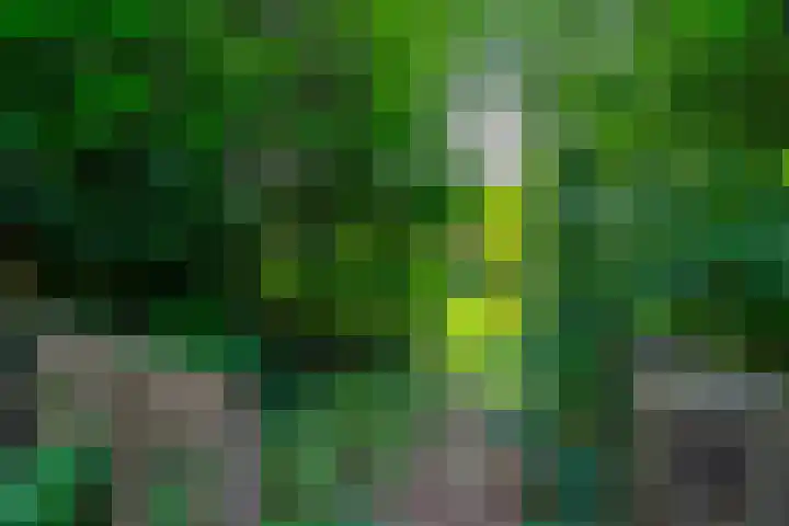 Stameren 16 Maarn thumbnail 22