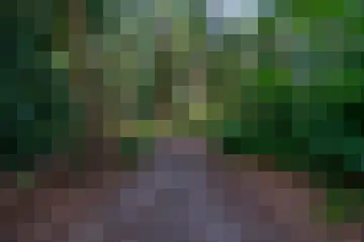 Stameren 16 Maarn thumbnail 4