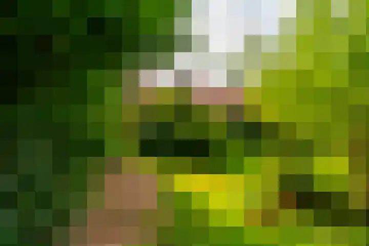 Stameren 16 Maarn thumbnail 6