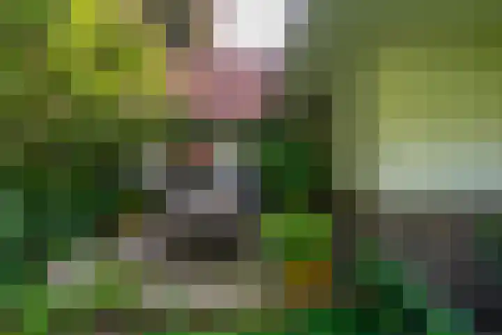 Stameren 16 Maarn thumbnail 7
