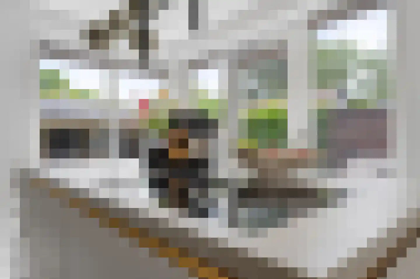 Stamhuis 26 Schijndel thumbnail 19