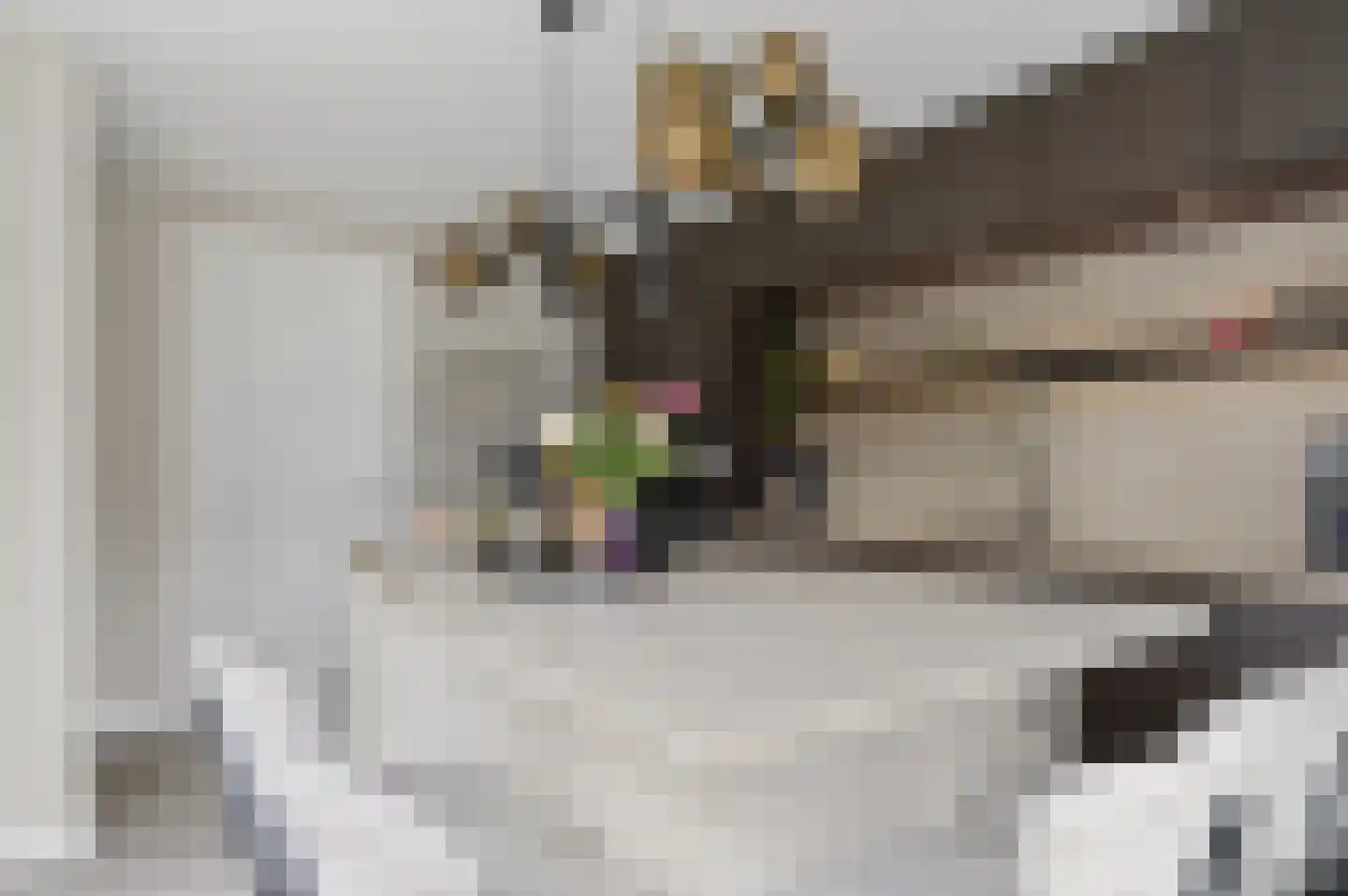 Stamhuis 26 Schijndel thumbnail 22