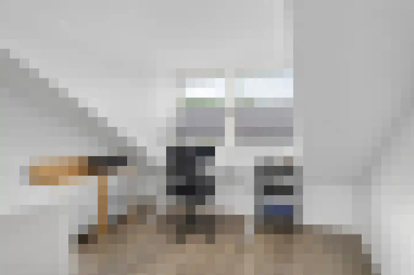 Stamhuis 26 Schijndel thumbnail 47
