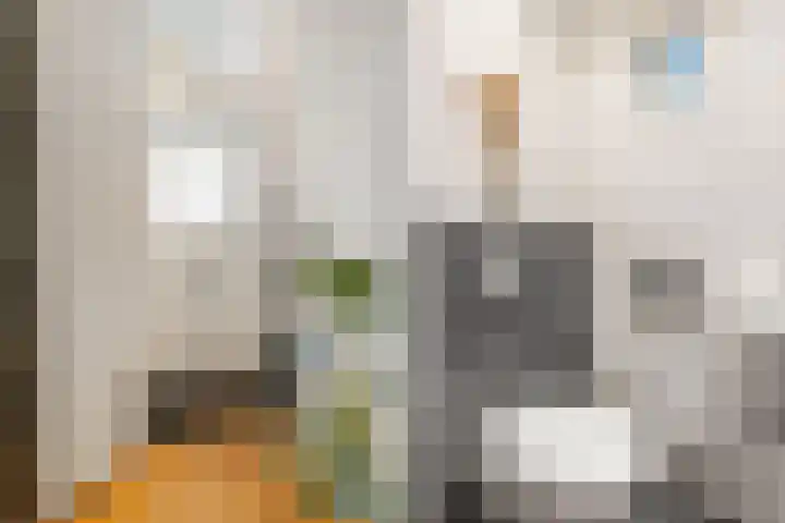 Stammershoefstraat 66 Vianen thumbnail 5